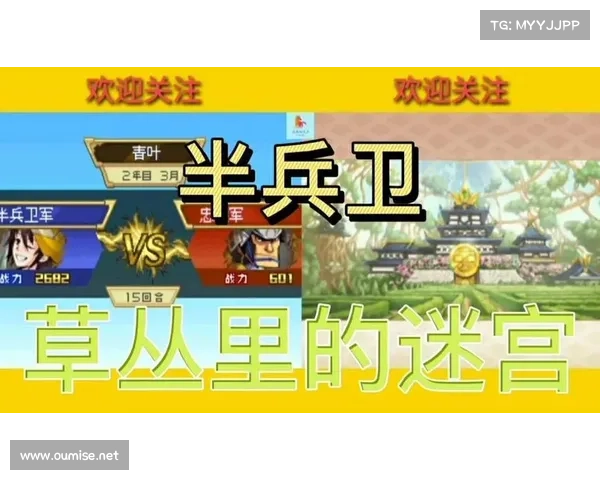 汗血宝马的技能分析与最佳使用攻略提升战力技巧 汗血宝马的技能分析与最佳使用攻略提升战力技巧